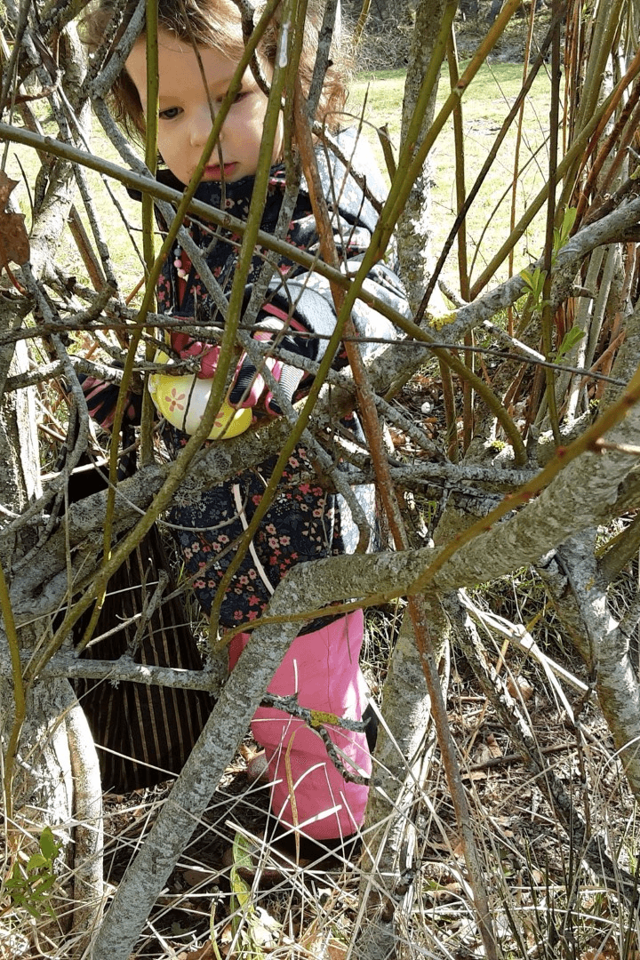 Forest School Fun