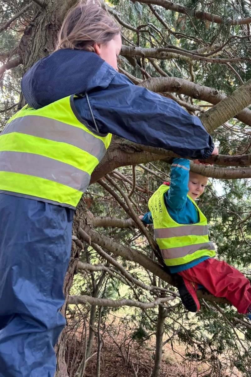 Old Rayne Preschool Out In The Forest